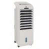 CLIMATIZADOR FM CL220 55W C/MANDO